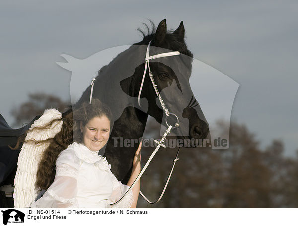 Engel und Friese / angel and friesian horse / NS-01514