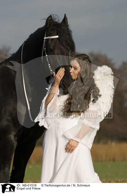 Engel und Friese / angel and friesian horse / NS-01516
