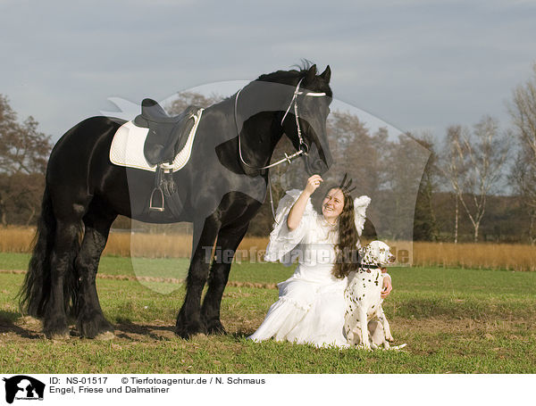 Engel, Friese und Dalmatiner / angel, friesian horse and dalmatian / NS-01517