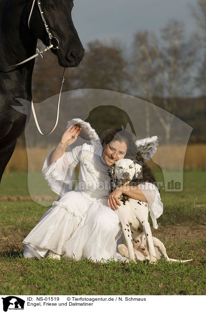 Engel, Friese und Dalmatiner / angel, friesian horse and dalmatian / NS-01519