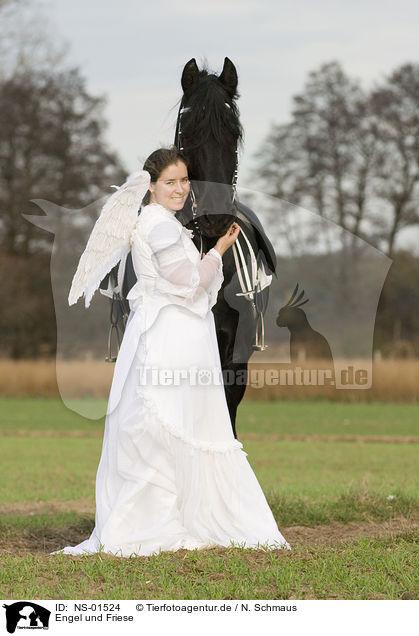Engel und Friese / angel and friesian horse / NS-01524