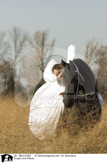 Engel und Friese / angel and friesian horse / NS-01525