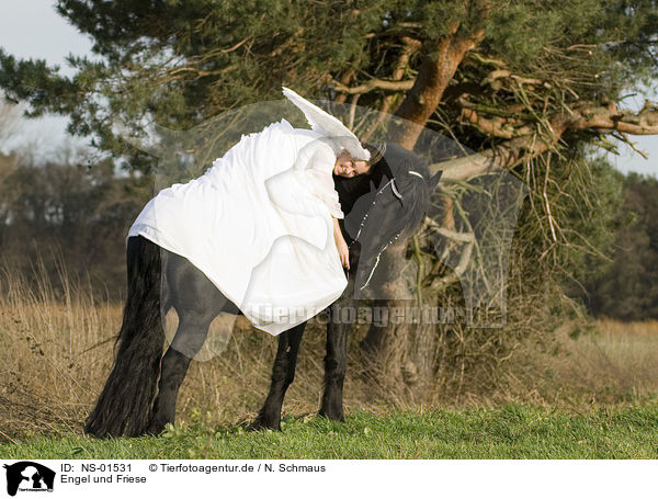 Engel und Friese / angel and friesian horse / NS-01531