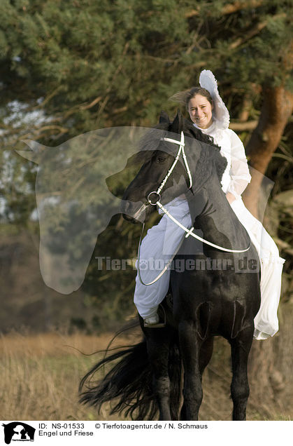 Engel und Friese / angel and friesian horse / NS-01533