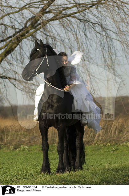 Engel und Friese / angel and friesian horse / NS-01534