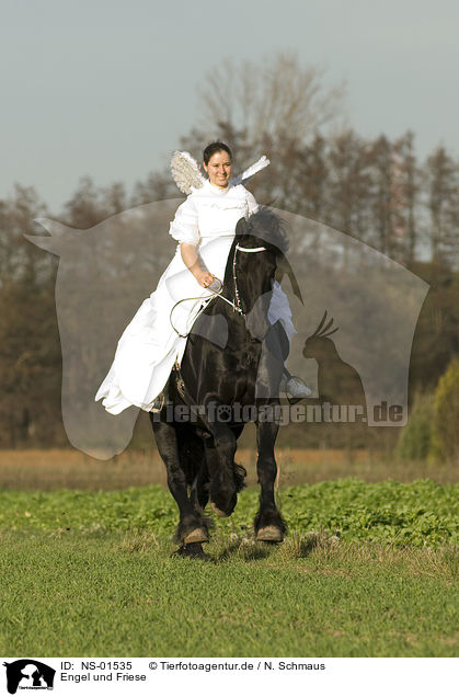 Engel und Friese / angel and friesian horse / NS-01535