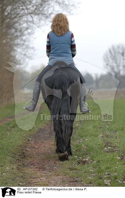 Frau reitet Friese / woman rides Frisian horse / AP-07392