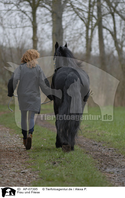 Frau und Friese / woman and Frisian horse / AP-07395