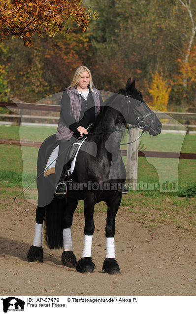 Frau reitet Friese / woman rides Frisian horse / AP-07479