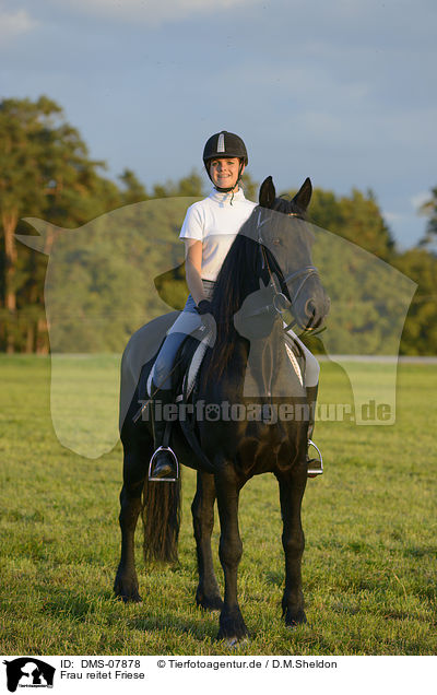 Frau reitet Friese / woman rides Frisian horse / DMS-07878