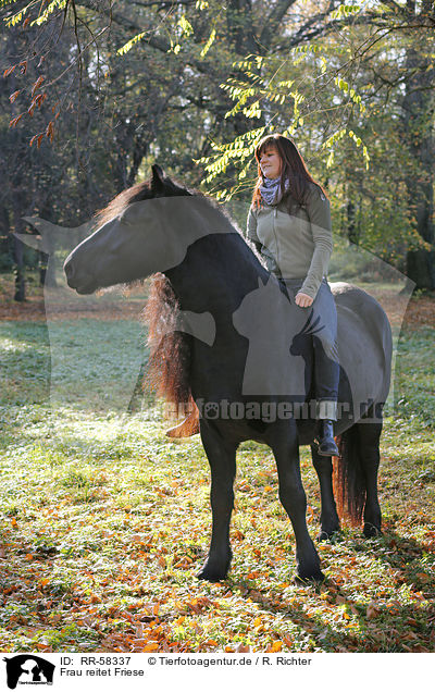 Frau reitet Friese / woman rides Frisian horse / RR-58337