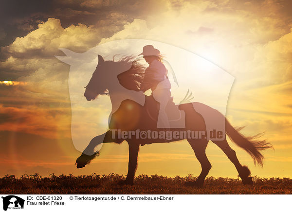 Frau reitet Friese / woman rides Frisian horse / CDE-01320