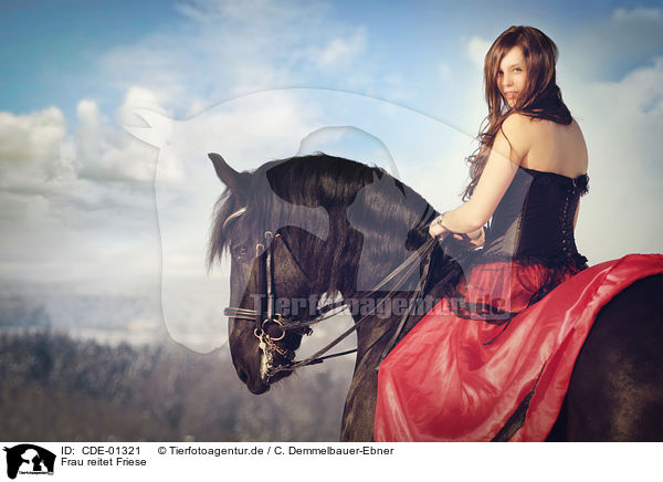 Frau reitet Friese / woman rides Frisian horse / CDE-01321