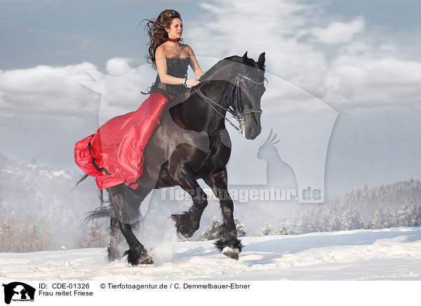 Frau reitet Friese / woman rides Frisian horse / CDE-01326