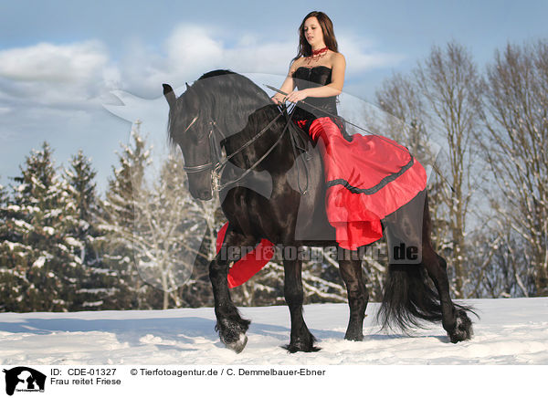 Frau reitet Friese / woman rides Frisian horse / CDE-01327