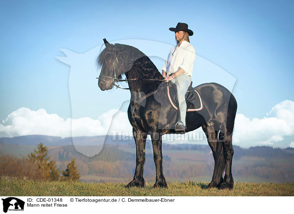 Mann reitet Friese / man rides Frisian horse / CDE-01348