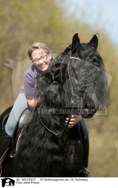 Frau reitet Friese / woman rides Frisian horse / NS-03937