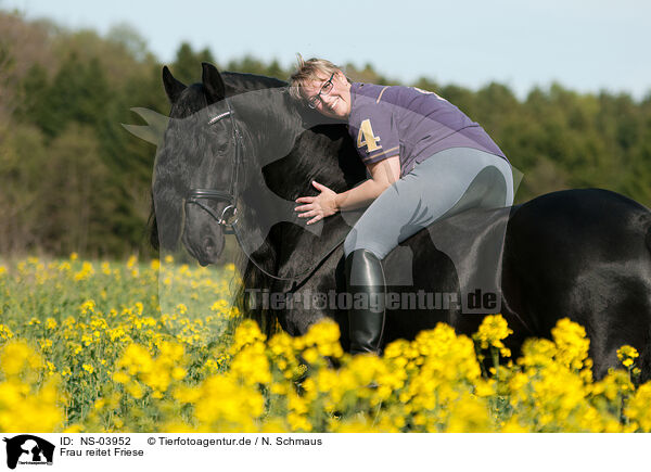 Frau reitet Friese / woman rides Frisian horse / NS-03952