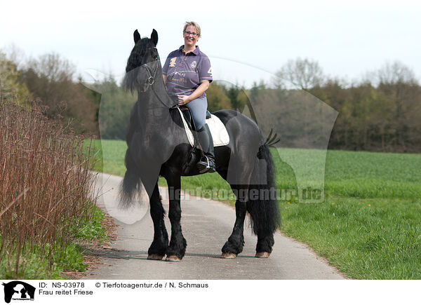 Frau reitet Friese / woman rides Frisian horse / NS-03978