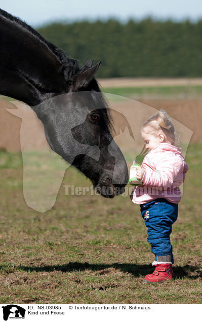 Kind und Friese / child and Frisian horse / NS-03985