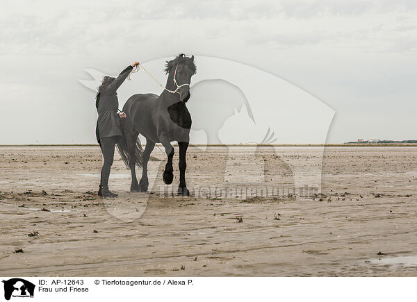 Frau und Friese / woman and Frisian Horse / AP-12643