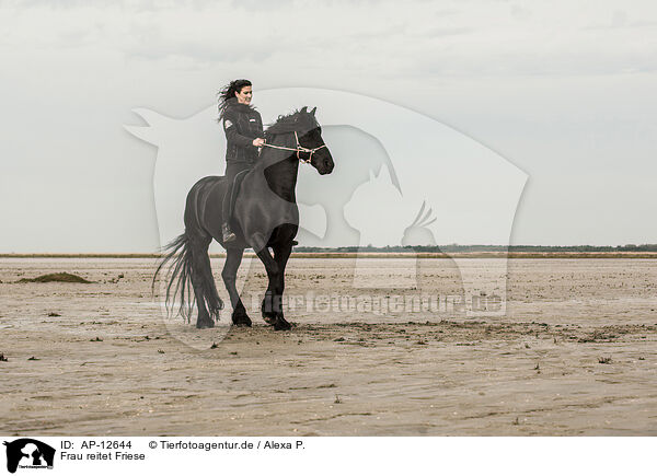 Frau reitet Friese / woman rides Frisian Horse / AP-12644