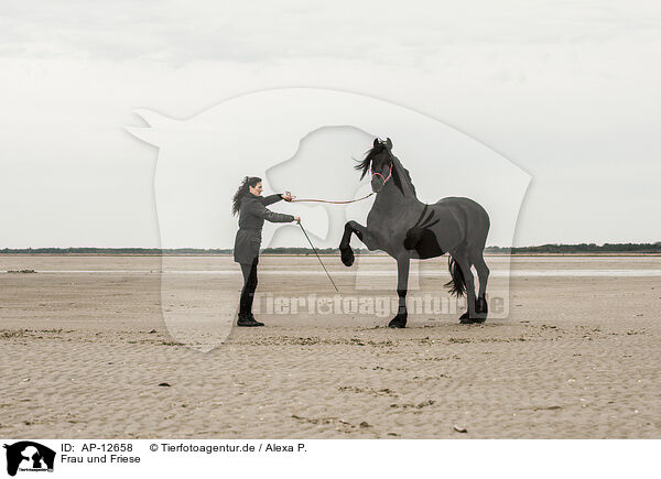 Frau und Friese / woman and Frisian Horse / AP-12658