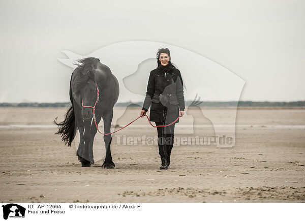 Frau und Friese / woman and Frisian Horse / AP-12665
