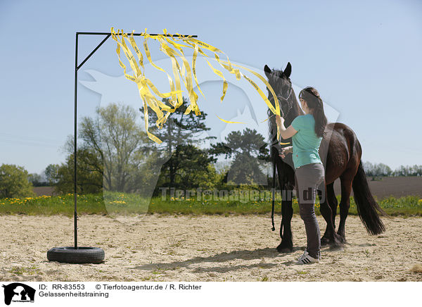Gelassenheitstraining / calmness training / RR-83553