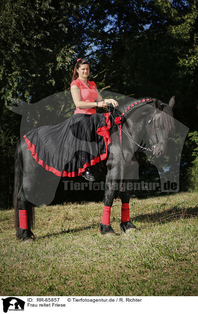Frau reitet Friese / woman rides Friesian Horse / RR-85857