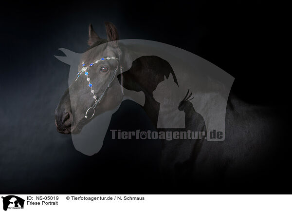 Friese Portrait / Friesian Horse Portrait / NS-05019