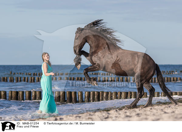 Frau und Friese / woman and Friesian horse / MAB-01254