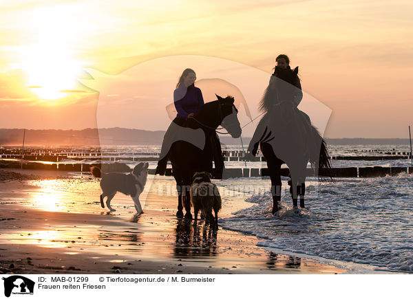 Frauen reiten Friesen / women rides Friesian horses / MAB-01299