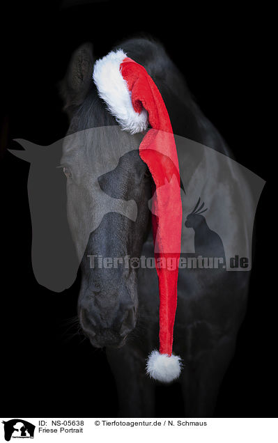 Friese Portrait / NS-05638