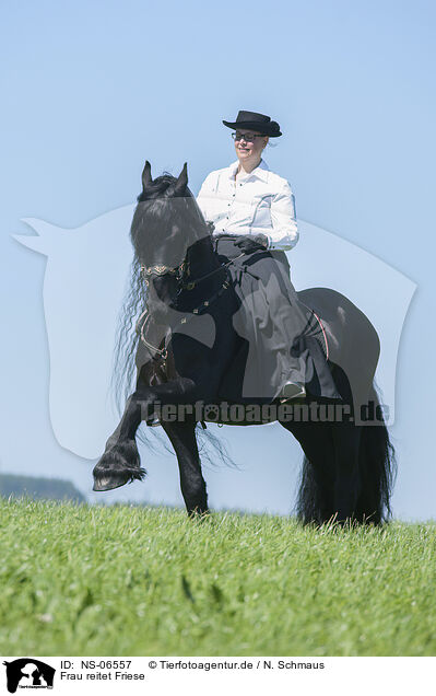 Frau reitet Friese / woman rides Friesian horse / NS-06557
