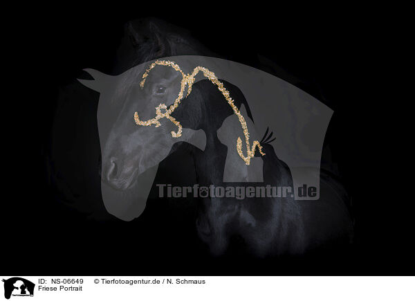 Friese Portrait / NS-06649