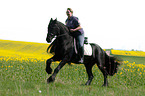 Frau reitet Friese