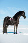 Friese