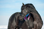Friese