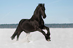 Friese