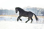 Friese rennt durch den Schnee