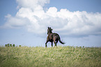 Friese