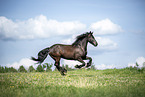 Friese