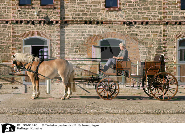Haflinger Kutsche / Hafliner horse carriage / SS-01840