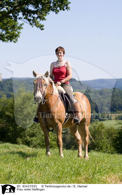 Frau reitet Haflinger / woman rides Haflinger horse / EH-01533