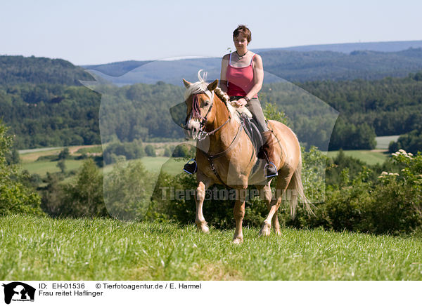 Frau reitet Haflinger / woman rides Haflinger horse / EH-01536