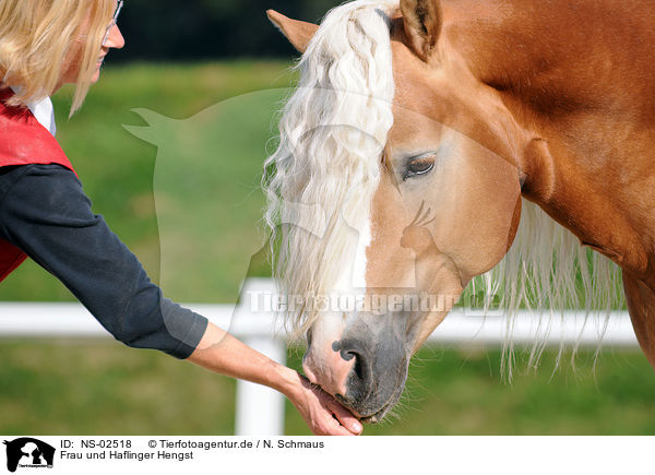 Frau und Haflinger Hengst / NS-02518