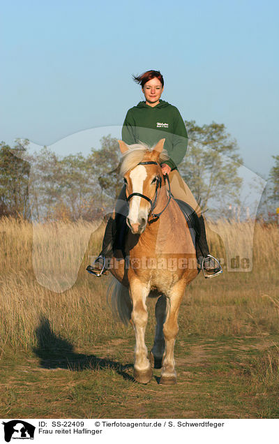 Frau reitet Haflinger / woman rides haflinger horse / SS-22409