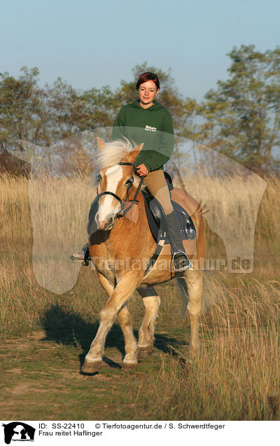Frau reitet Haflinger / woman rides haflinger horse / SS-22410