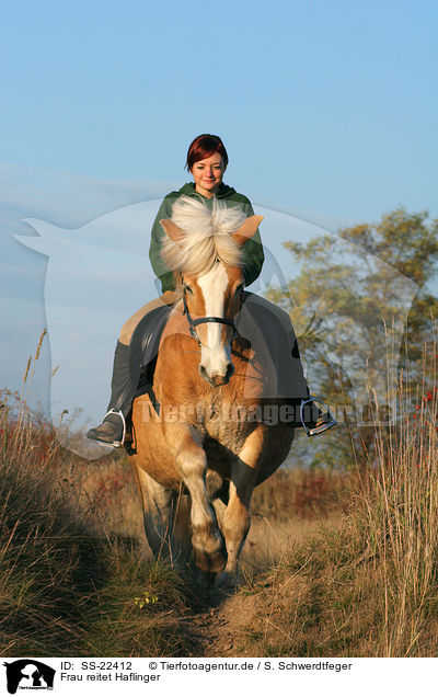 Frau reitet Haflinger / woman rides haflinger horse / SS-22412